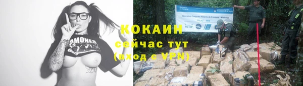 соль ск Верхний Тагил