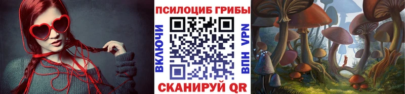KRAKEN tor  Рузаевка  Псилоцибиновые грибы мицелий 
