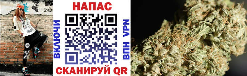 купить   Рузаевка  Каннабис семена 